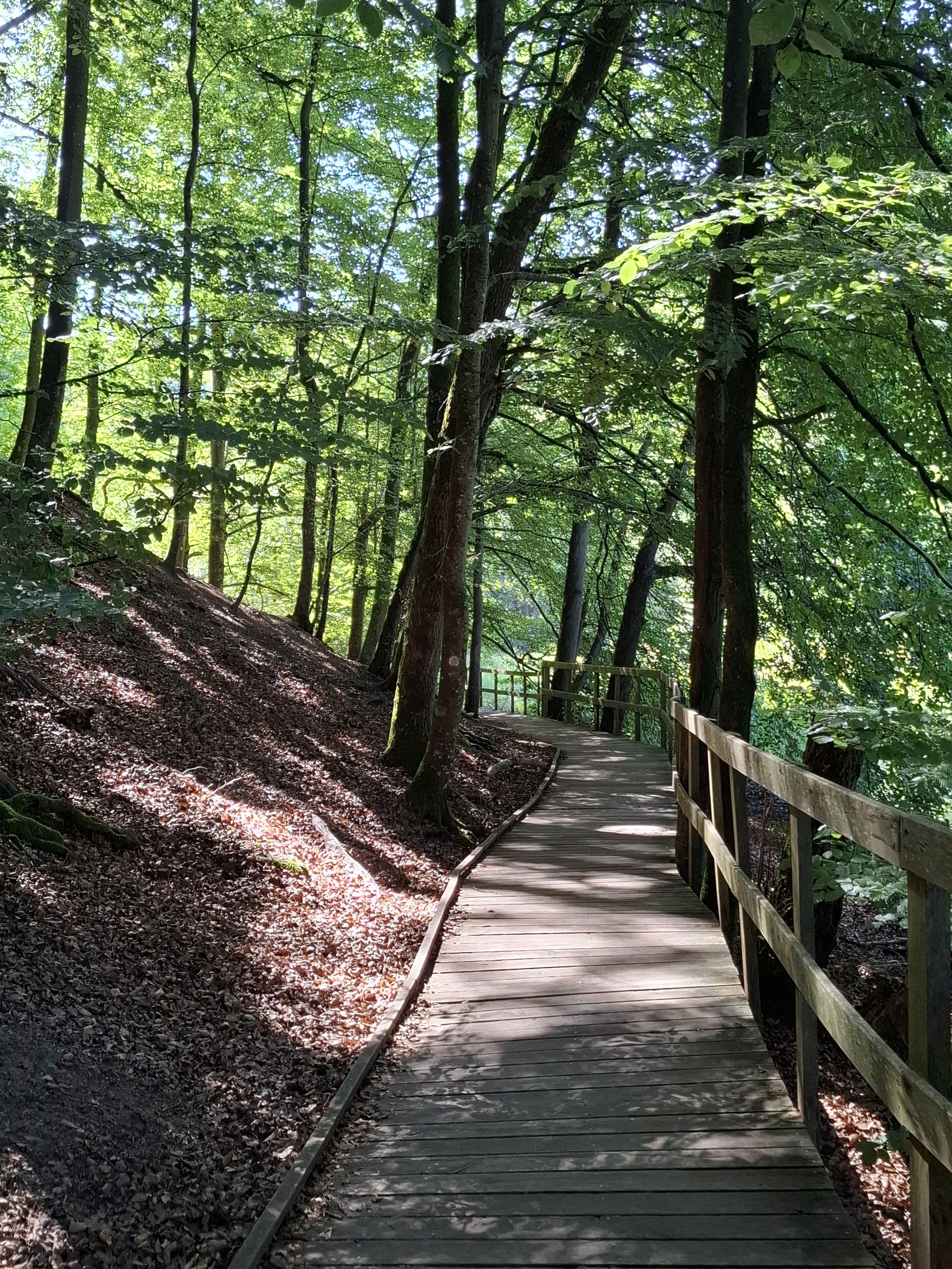 Söderåsen National Park